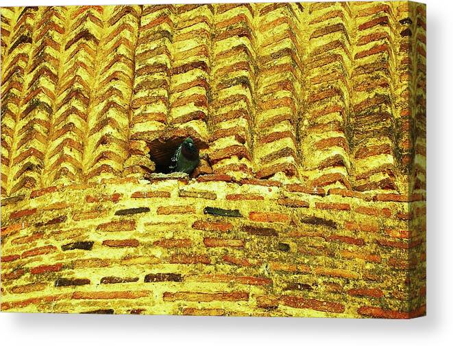 Bird Canvas Print featuring the photograph Different Strokes by HweeYen Ong