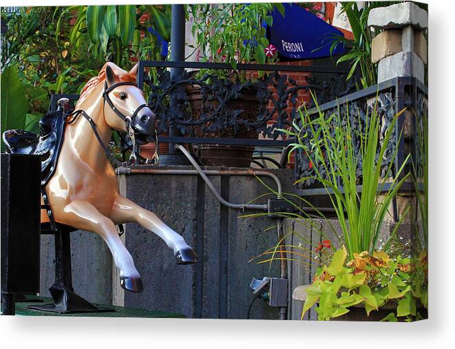 Pony Canvas Print featuring the photograph Dime Pony by David Ralph Johnson