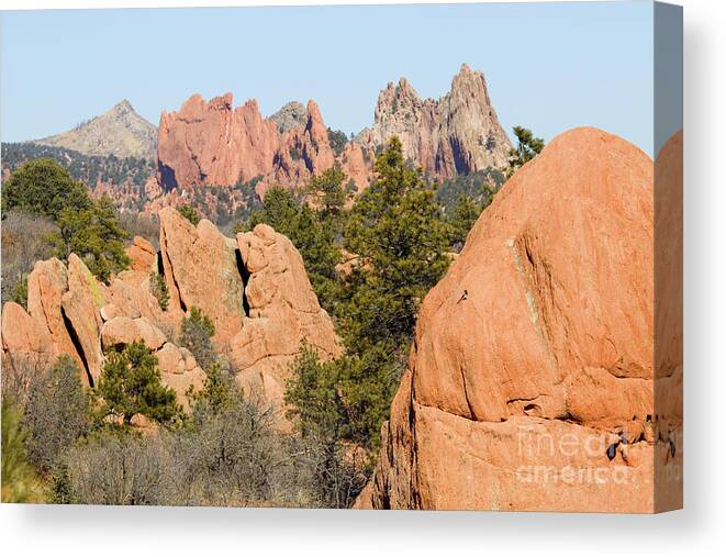 Garden Of The Gods Canvas Print featuring the photograph Distant Garden of the Gods from Red Rock Canyon by Steven Krull
