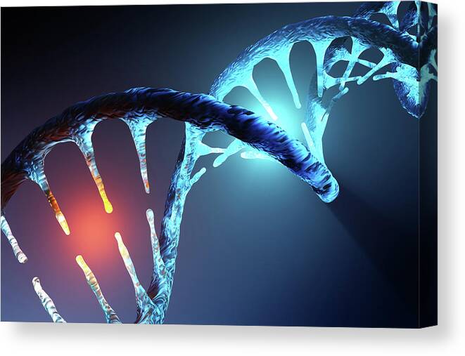 Dna Canvas Print featuring the photograph DNA strand by Johan Swanepoel