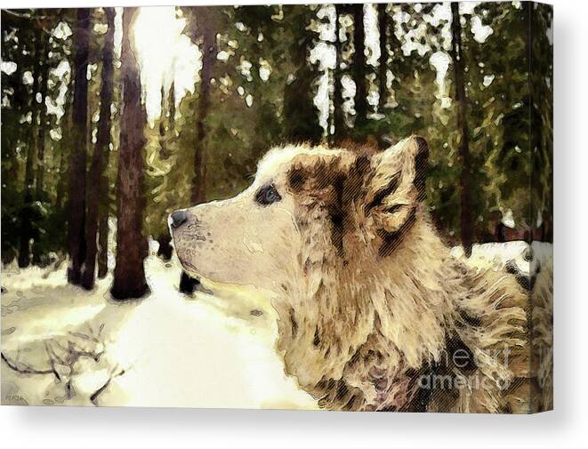 Dog Canvas Print featuring the photograph Dog In Winter Woods by Phil Perkins