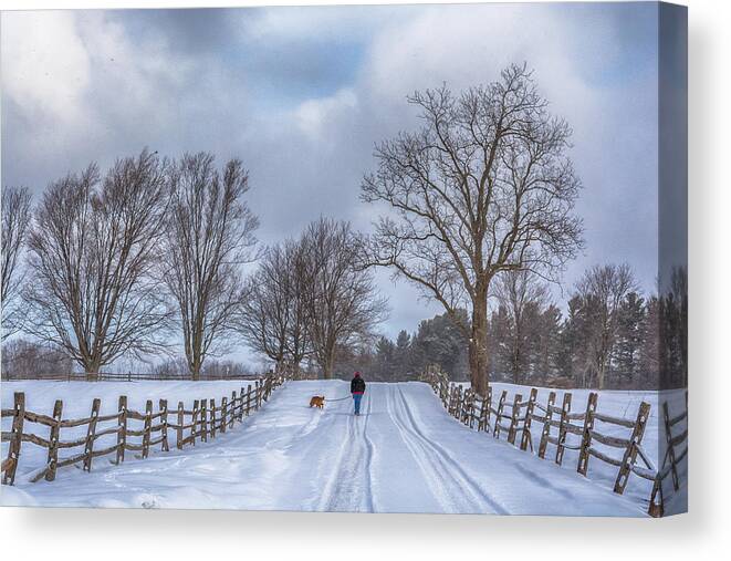 Guy Whiteley Photography Canvas Print featuring the photograph Dog Walking by Guy Whiteley