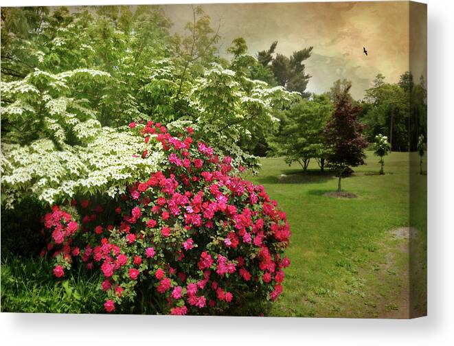 Spring Landscape Canvas Print featuring the photograph Dogwood and Roses by Diana Angstadt