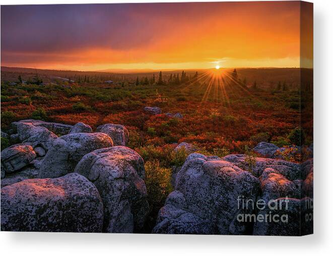 Dolly Sods Canvas Print featuring the photograph Dolly Sods Sunset by Anthony Heflin