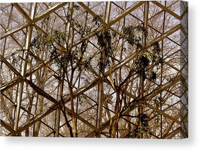  Canvas Print featuring the photograph Domes by Michael Nowotny