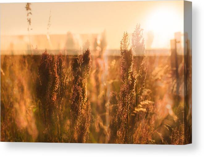 Abstract Canvas Print featuring the photograph Double Fields by Marcus Karlsson Sall