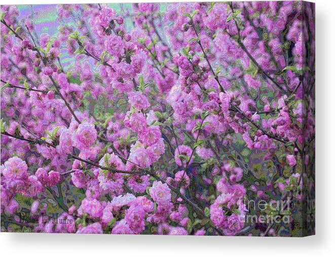 Double Flower Plum Canvas Print featuring the painting Double Flower Plum by Donna L Munro