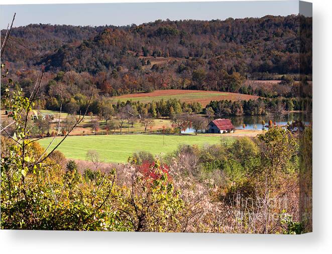 Landscape Canvas Print featuring the photograph Down In The Valley - Natchez Trace by Debra Martz