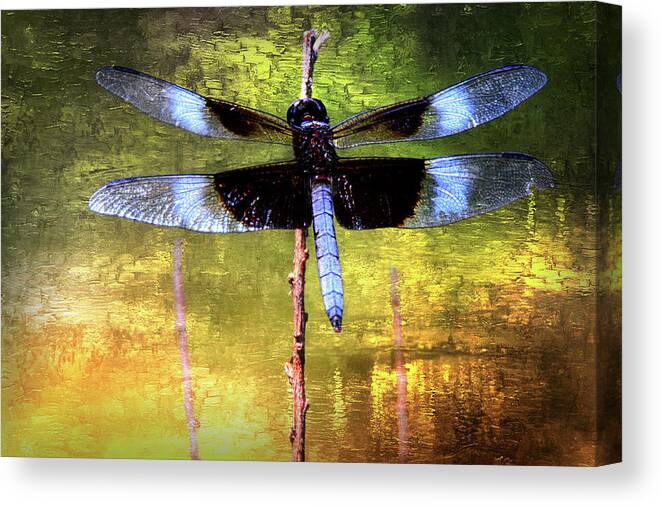  Canvas Print featuring the photograph Dragonfly by Scott Fracasso