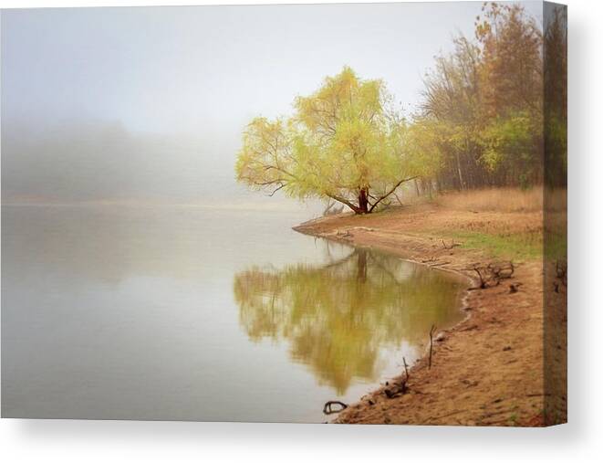 Background Canvas Print featuring the photograph Dream Tree by Robert FERD Frank