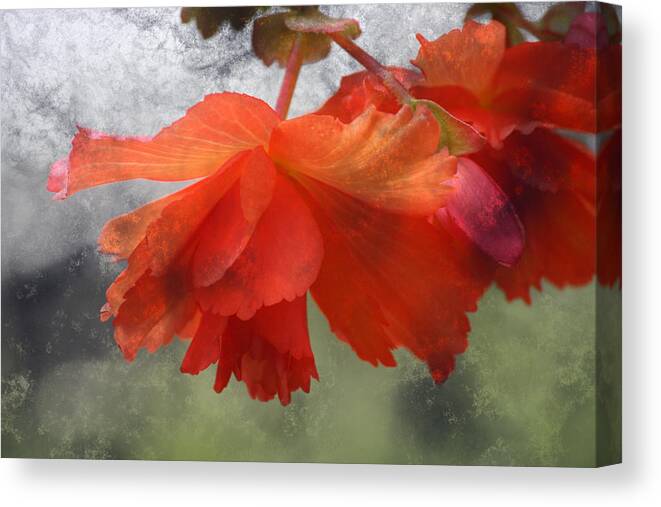 Flower Canvas Print featuring the photograph Dreamy Tangerine by Julie Lueders 