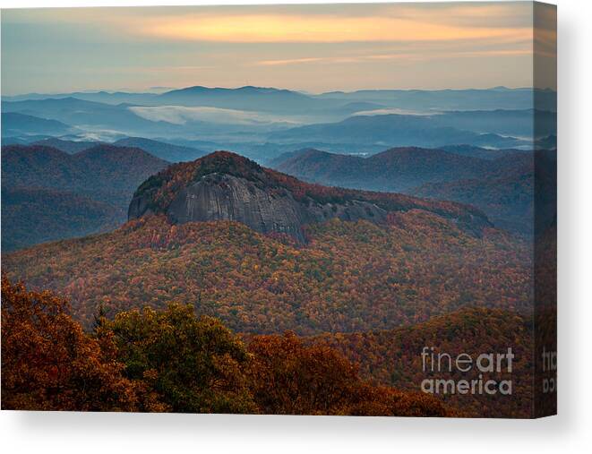 Looking Glass Rock Canvas Print featuring the photograph Dressed in Gold. by Itai Minovitz