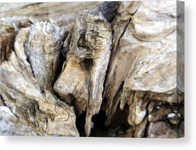 Horizontal Canvas Print featuring the photograph Driftwood Nature's Art by Valerie Collins
