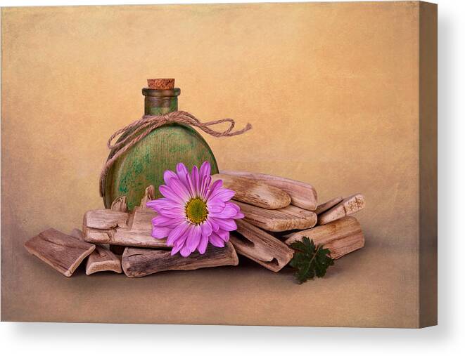 Art Canvas Print featuring the photograph Driftwood with Daisy by Tom Mc Nemar