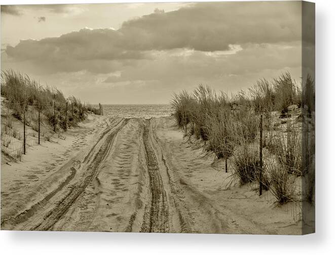 Beach Canvas Print featuring the photograph Drive To The Ocean by Cathy Kovarik
