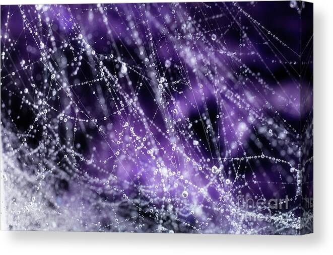 Drops Canvas Print featuring the photograph Droplets by Mike Eingle