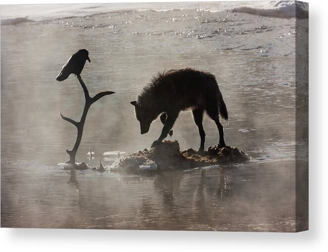 Mark Miller Photos Canvas Print featuring the photograph Druid Wolf and Raven Silhouette by Mark Miller
