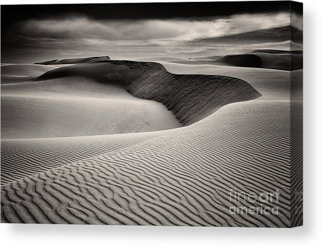 Oceano Dunes Canvas Print featuring the photograph Dunescape In Sepia Tones by Mimi Ditchie