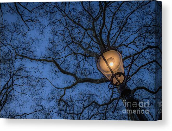 Dusk Canvas Print featuring the photograph Walking in London by David Rucker