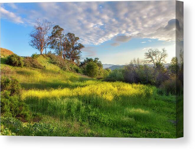 Landscape Canvas Print featuring the photograph Eagle Grove at Lake Casitas in Ventura County, California by John A Rodriguez