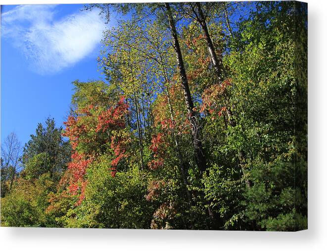 Early Autumn Canvas Print featuring the photograph Early Autumn by Karen Ruhl