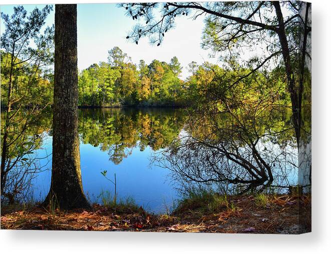 Fall Canvas Print featuring the photograph Early Fall Reflections by Nicole Lloyd