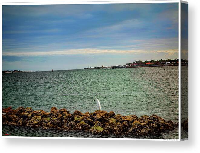 Florida Canvas Print featuring the mixed media Early Morning on the Matanzas Bay by Rogermike Wilson