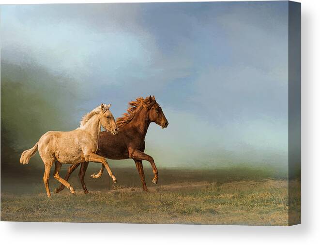 Horses Canvas Print featuring the photograph Early Morning Run by Peggy Blackwell