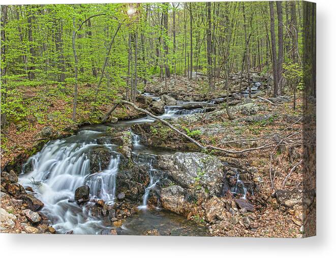 Spring Canvas Print featuring the photograph Early Morning Waterfall by Angelo Marcialis