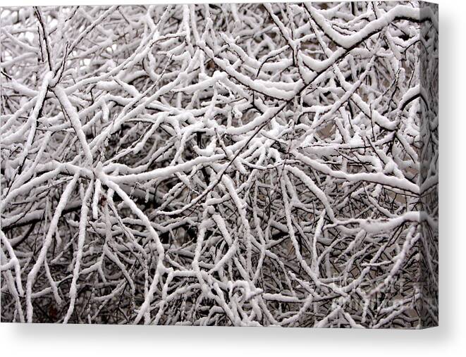 Abstract Canvas Print featuring the photograph Early Spring Snow by James BO Insogna