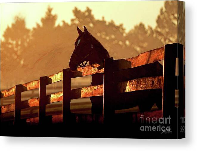 Horse Canvas Print featuring the digital art Early Sunrise on The Farm by CAC Graphics