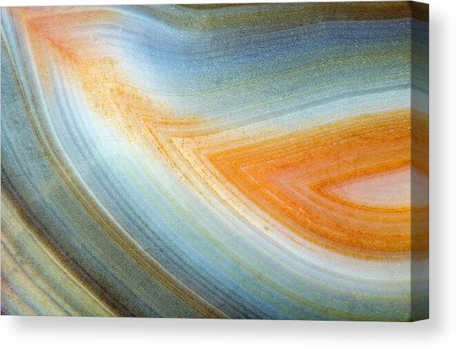 Macro Photography Canvas Print featuring the photograph Earth Portrait 092 by David Waldrop