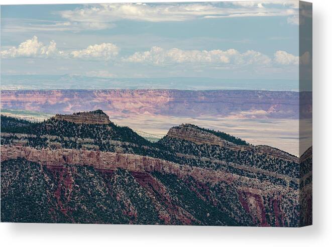 Arizona Canvas Print featuring the photograph East Kaibab Monocline by Gaelyn Olmsted