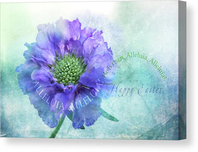 Photography Canvas Print featuring the digital art Easter Greeting 3 by Terry Davis