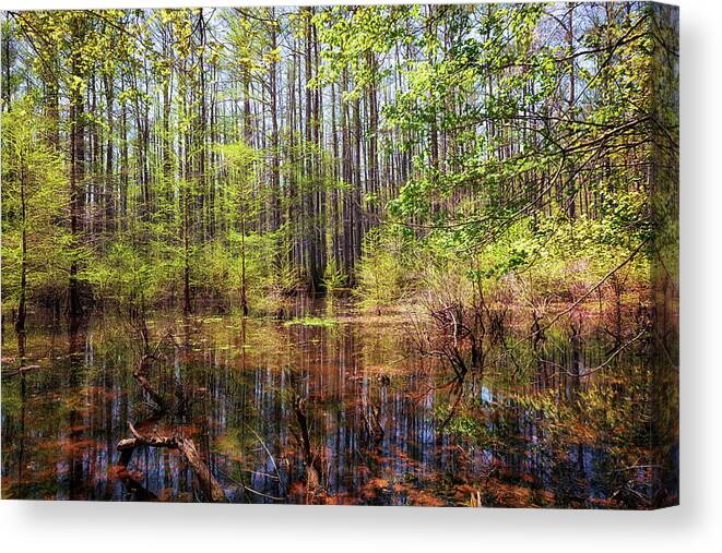 Heron Pond Canvas Print featuring the photograph Edge of the Swamp 2 by Susan Rissi Tregoning