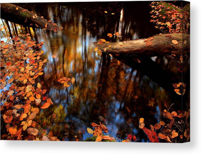 River Scene Canvas Print featuring the photograph Edge Of Wishes by Mike Eingle