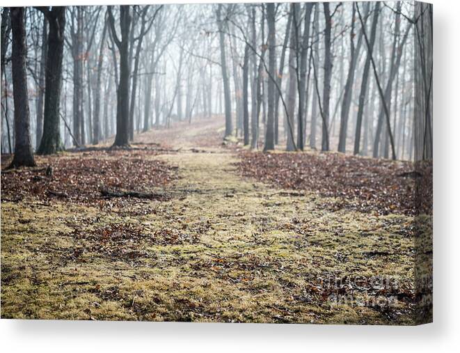 Mysterious Canvas Print featuring the photograph Eerie by Andrea Silies