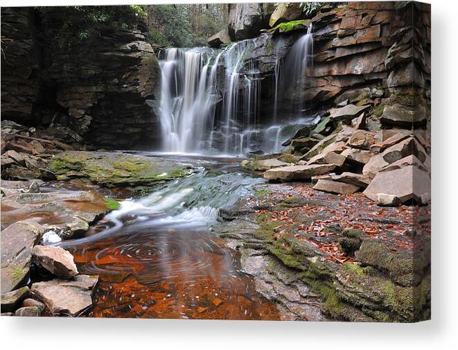 Blackwater State Park Canvas Print featuring the photograph Elakala Fall by Dung Ma