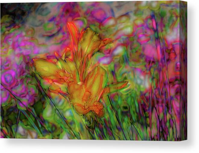 Cathy Donohoue Photography Canvas Print featuring the photograph Electric Slide by Cathy Donohoue
