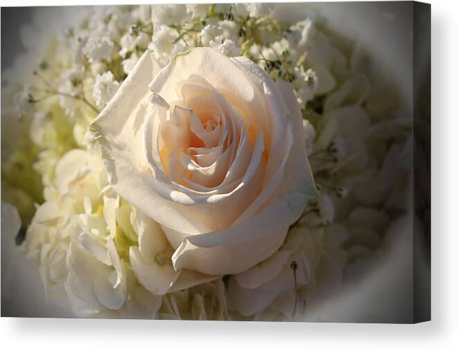 Rose Canvas Print featuring the photograph Elegant White Roses by Cynthia Guinn