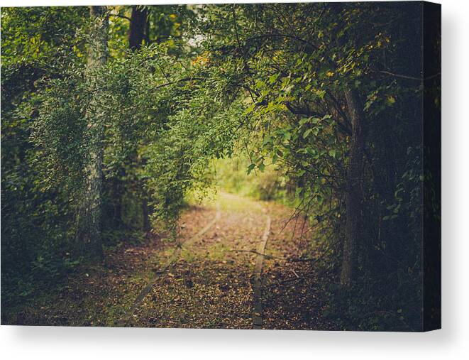 Woods Canvas Print featuring the photograph Embrace The Woods by Shane Holsclaw