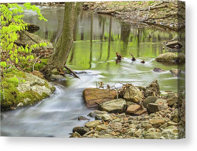 Spring Canvas Print featuring the photograph Emerald Liquid Glass by Angelo Marcialis