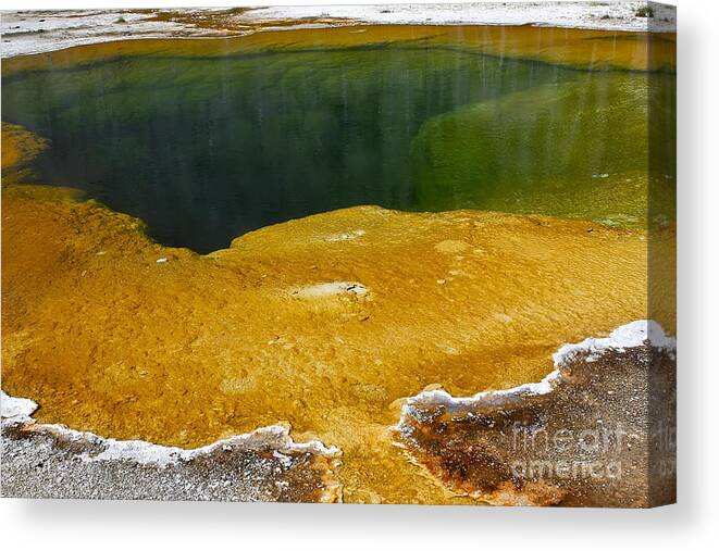Hot Spring Canvas Print featuring the photograph Emerald Pool Yellowstone National Park by Teresa Zieba