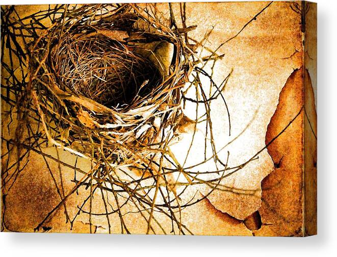Still Life Canvas Print featuring the photograph Empty Nest by Jan Amiss Photography