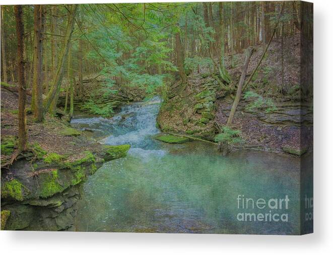 Enchanted Forest One Canvas Print featuring the digital art Enchanted Forest One by Randy Steele