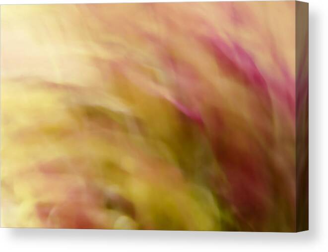 Gaia Canvas Print featuring the photograph Endless Summer by Margaret Denny
