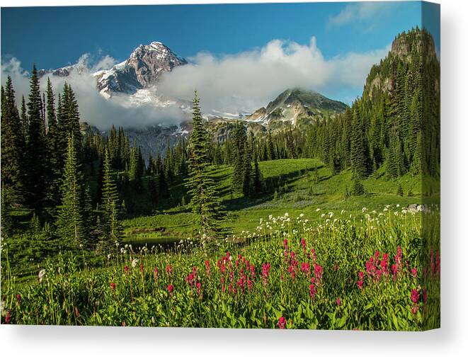 Mt Rainier Canvas Print featuring the photograph Evening at Indian Henry's by Doug Scrima