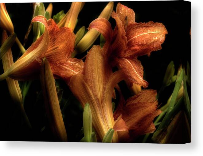 Lilies Canvas Print featuring the photograph Evening Lilies by Mike Eingle