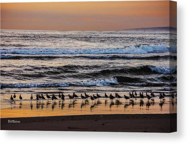 California Central Coast Canvas Print featuring the photograph Evening Stroll by Bill Roberts