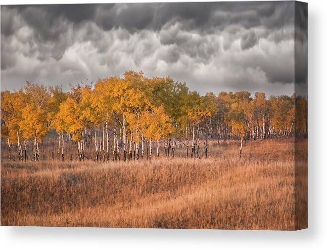 Clouds Canvas Print featuring the photograph Evening Sun by Ellery Russell